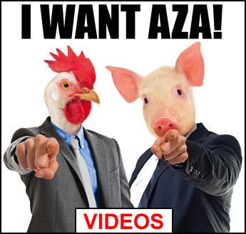 i want aza