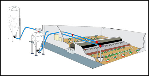 exacta grill