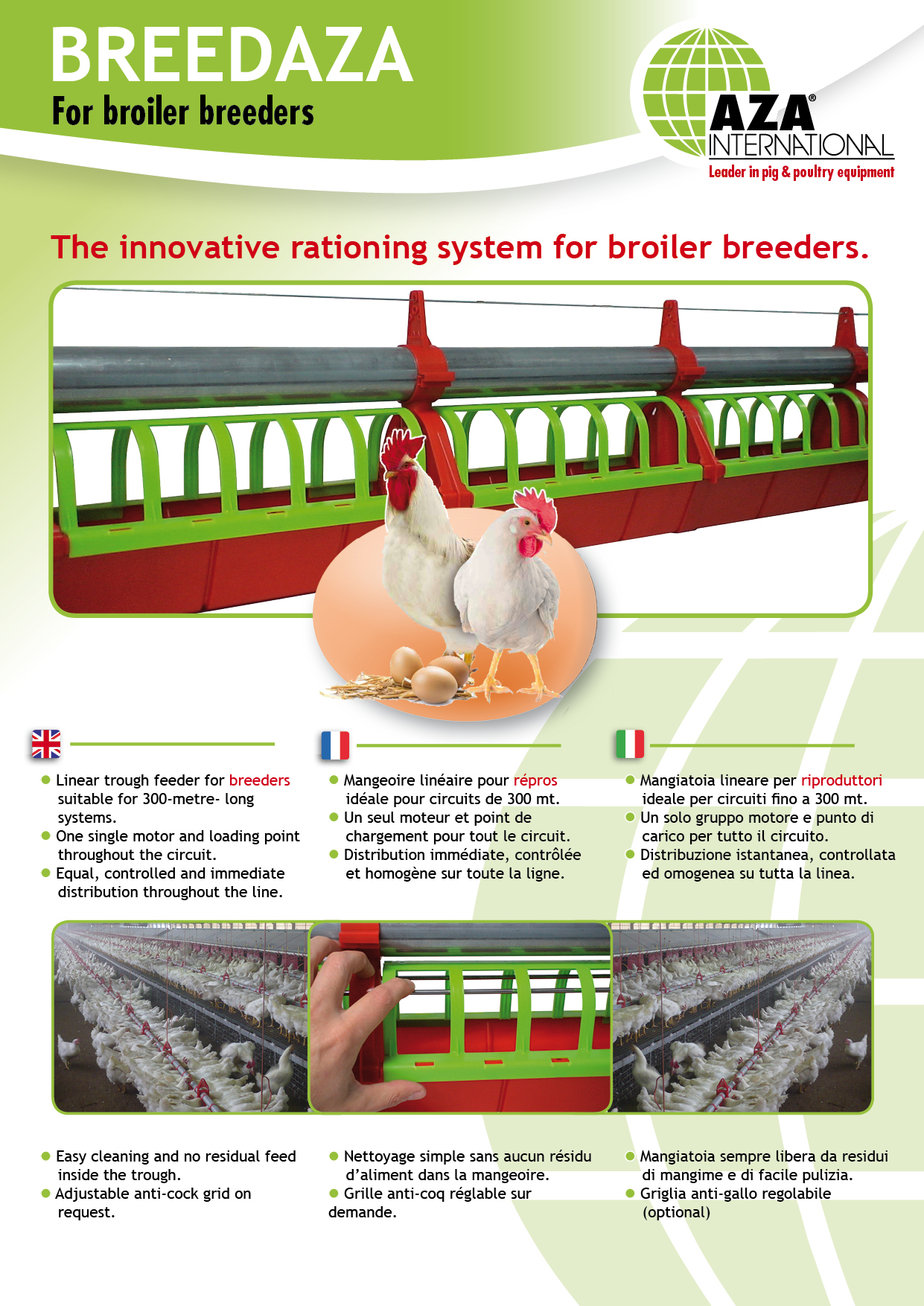 breedaza broiler